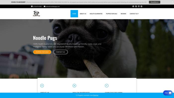 Noodlepugs.com - Pug Puppy Scam Review