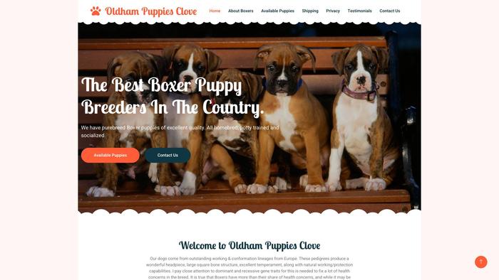 Oldhampuppiesclove.info - Terrier Puppy Scam Review