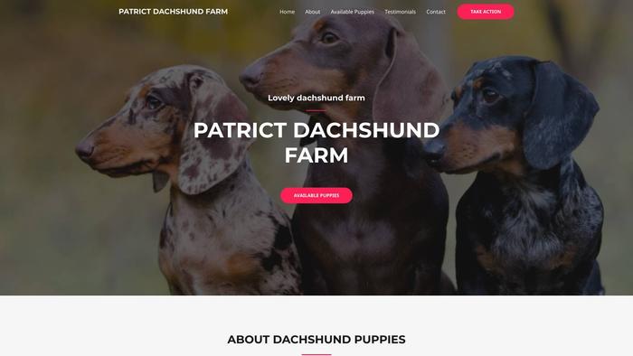 Patrictdachshundfarm.com - Dachshund Puppy Scam Review