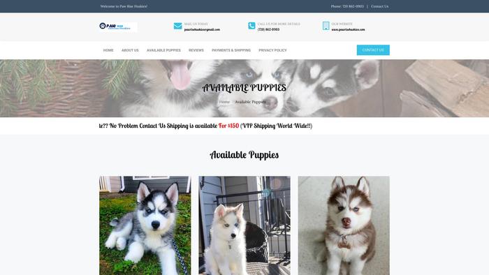 Pawrisehuskies.com - Husky Puppy Scam Review