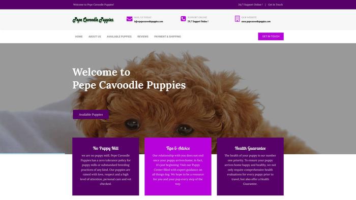 Pepecavoodlepuppies.com - Cavapoo Puppy Scam Review