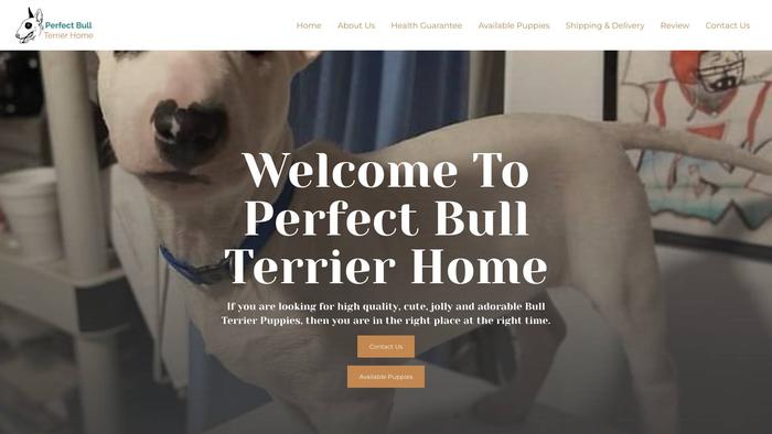 Perfectbullterrierhome.com - Terrier Puppy Scam Review