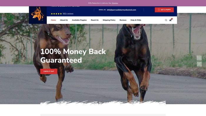 Perrysdobermankennel.com - Doberman Pinscher Puppy Scam Review