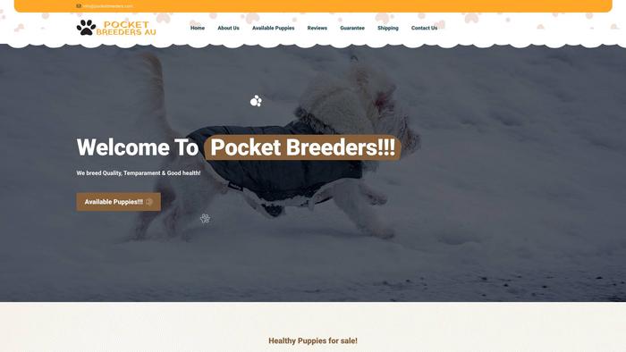 Pocketbreeders.com - Havanese Puppy Scam Review