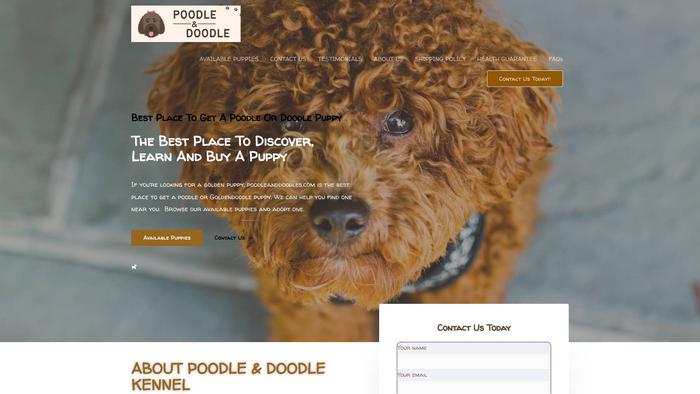 Poodleandoodles.com - Poodle Puppy Scam Review