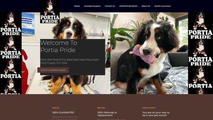 Portiapride.com - Bernese Mountain Dog Puppy Scam Review