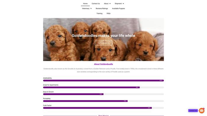 Premiergoldendoodle.com - Golden Doodle Puppy Scam Review