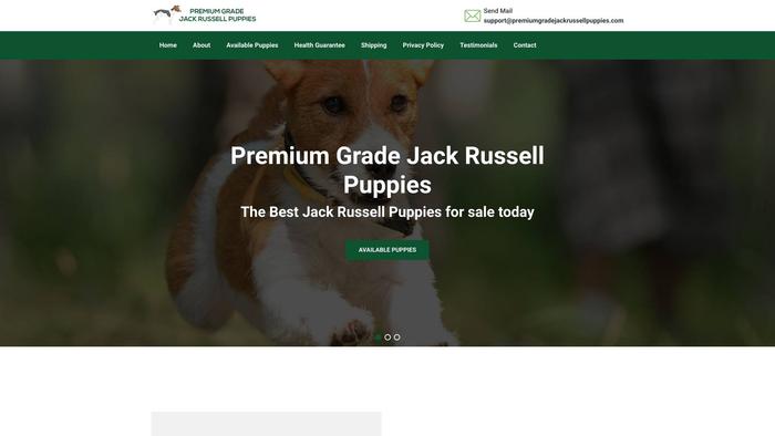 Premiumgradejackrussellpuppies.com - Jack Russell Terrier Puppy Scam Review