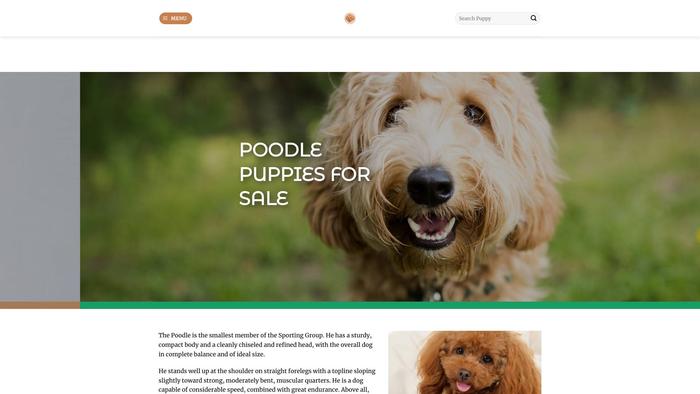 Prettypoodlehome.com - Poodle Puppy Scam Review