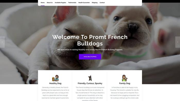 Promtfrenchbulldogs.com - French Bulldog Puppy Scam Review