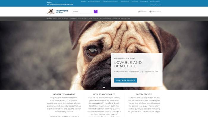 Pugpuppiesforhome.com - Pug Puppy Scam Review