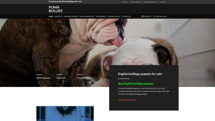 Pumabullies.com - English Bulldog Puppy Scam Review