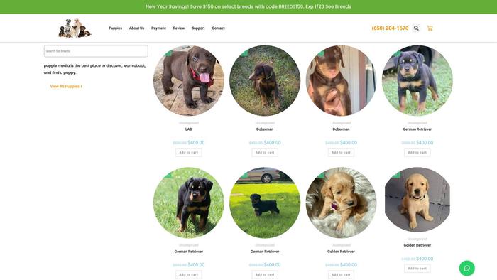 Puppiemedia.com - Dachshund Puppy Scam Review