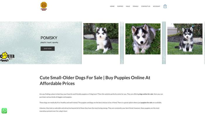 Puppysbreeders.com - Bernedoodle Puppy Scam Review