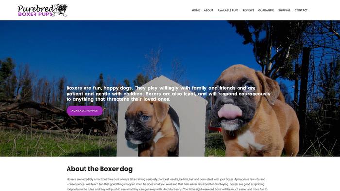 Purebredboxerpups.com - Boxer Puppy Scam Review