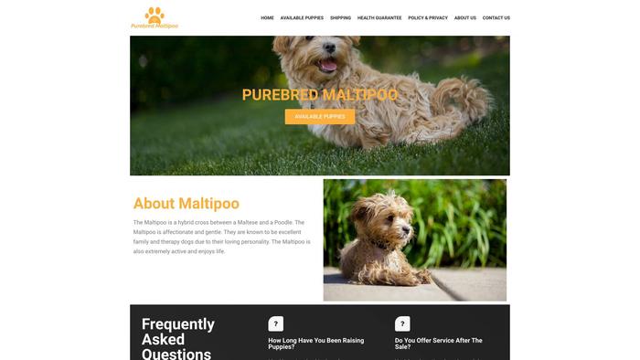 Purebredmaltipoo.com - Maltipoo Puppy Scam Review