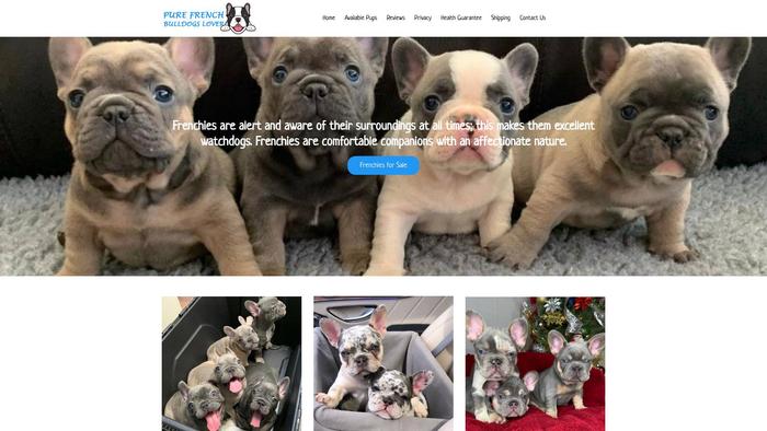 Purefrenchbulldogslovers.com - French Bulldog Puppy Scam Review