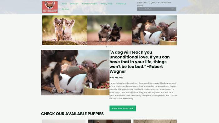 Qualitychihuahuapuppy.com - Chihuahua Puppy Scam Review