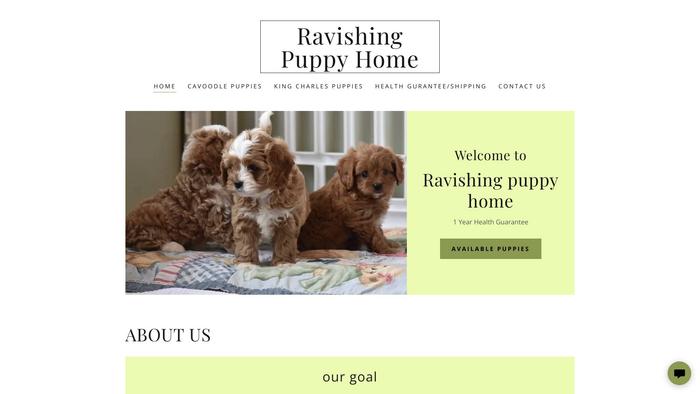 Ravishingpuphome.com - Cavalier King Charles Spaniel Puppy Scam Review