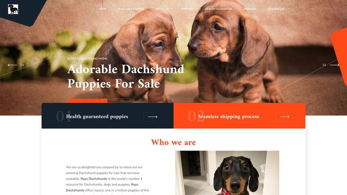 Raysdachshunds.com - Dachshund Puppy Scam Review