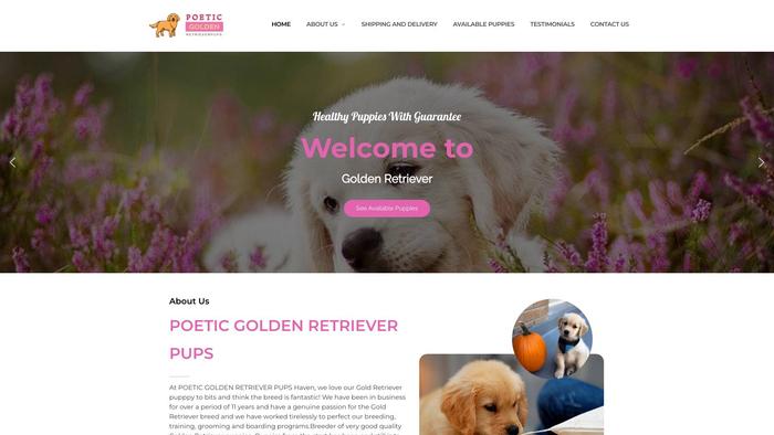 Registeredgoldenretrieverpups.com - Golden Retriever Puppy Scam Review