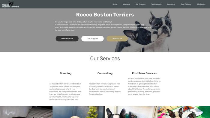 Rocco-bostonterriers.com - Terrier Puppy Scam Review