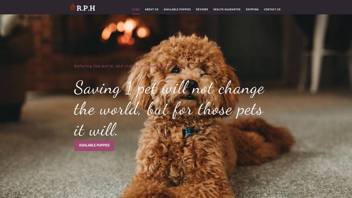 Royalpoodlepupshome.com - Poodle Puppy Scam Review