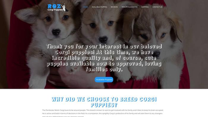 Rozcorgipuppies.com - Corgi Puppy Scam Review