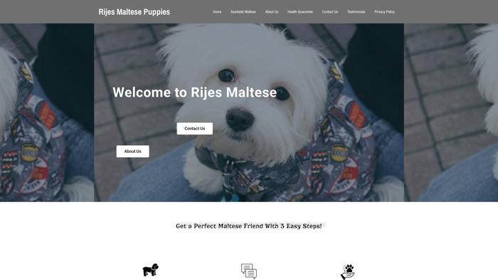 Rrijesmaltese.com - Maltese Puppy Scam Review