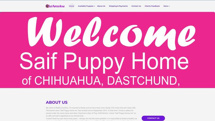 Saifpuppieshome.com - Boston Terrier Puppy Scam Review