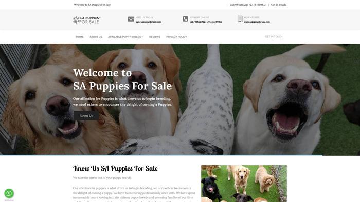 Sapuppiesforsale.com - Maltese Puppy Scam Review