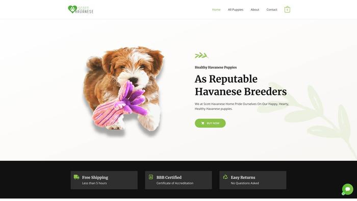 Scotthavanesehome.com - Havanese Puppy Scam Review