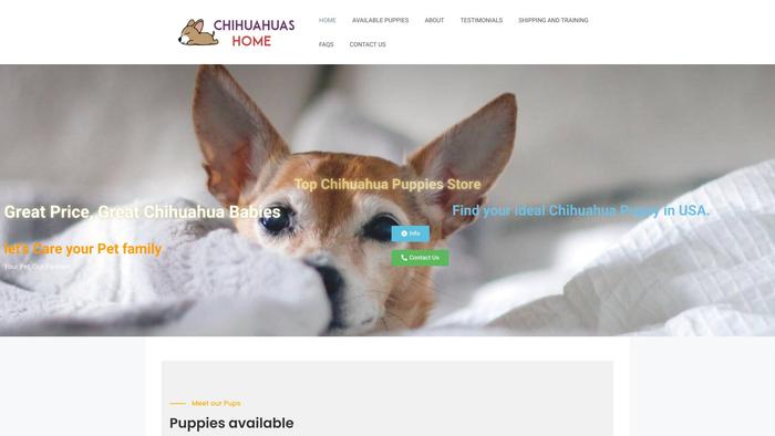 Sellennachihuahua.com - Chihuahua Puppy Scam Review