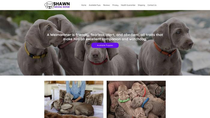 Shawnweimshome.net - Labrador Puppy Scam Review