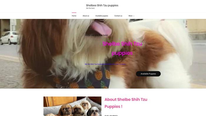 Shelbeeshihtzupuppies.com - Shihtzu Puppy Scam Review