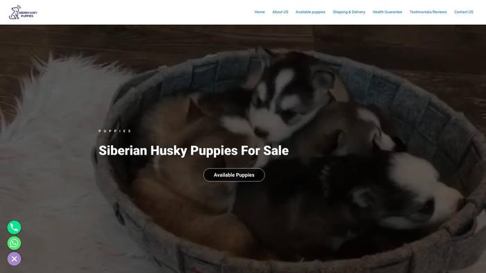 Siberienhusky.com - Husky Puppy Scam Review