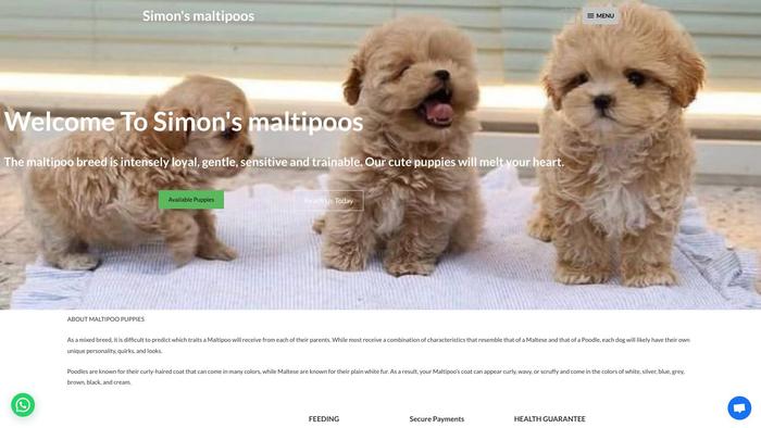 Simonsmaltipoopuppies.com - Maltipoo Puppy Scam Review