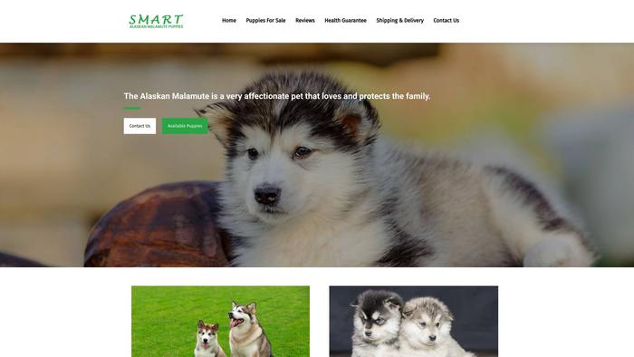 Smartalaskanmalamutepuppies.com - Malamute Puppy Scam Review