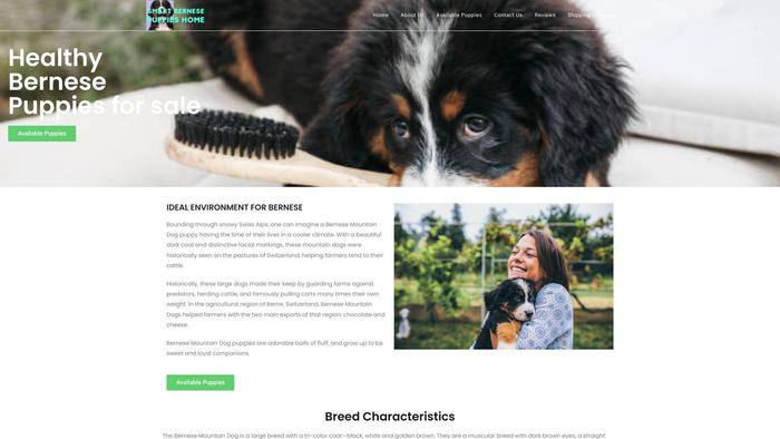 Smartbernesepuppieshome.com - Bernese Mountain Dog Puppy Scam Review