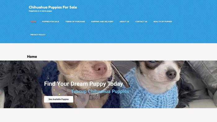 Smartchihuahuapups.store - Chihuahua Puppy Scam Review