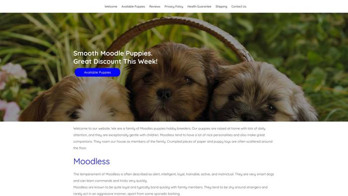 Smoothmoodlepuppieshome.com - Labrador Puppy Scam Review