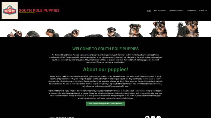 Southpolepuppies.com - Yorkshire Terrier Puppy Scam Review