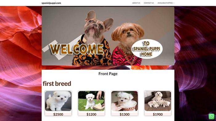 Spanielpuppi.com - Spaniel Puppy Scam Review