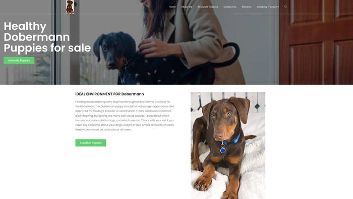 Splendiddobiepuppiesforsale.store - Doberman Pinscher Puppy Scam Review