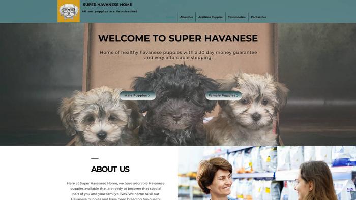 Superhavanese.com - Havanese Puppy Scam Review