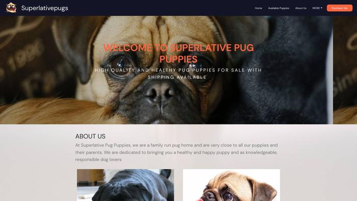 Superlativepugs.com - Pug Puppy Scam Review