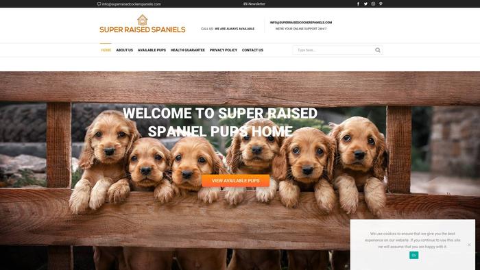 Superraisedcockerspaniels.com - Cockerspaniel Puppy Scam Review