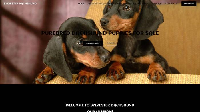 Sylvesterdachshund.com - Dachshund Puppy Scam Review