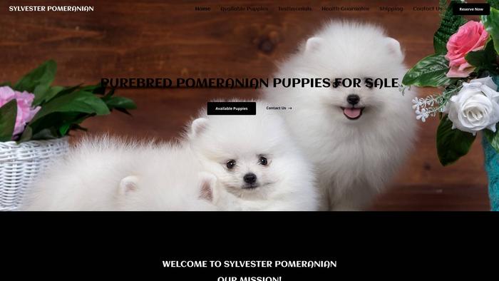 Sylvesterpomeranian.com - Pomeranian Puppy Scam Review