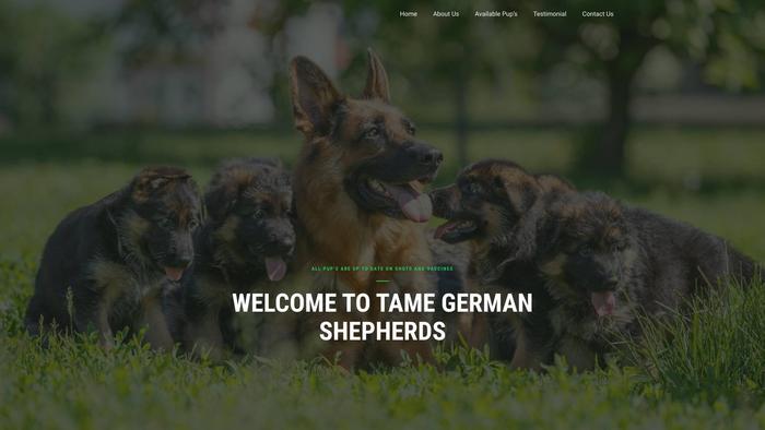 Tamegermanshepherdpups.com - Germanshepherd Puppy Scam Review